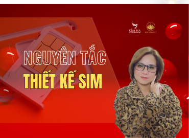 Nguyên tắc thiết kế sim
